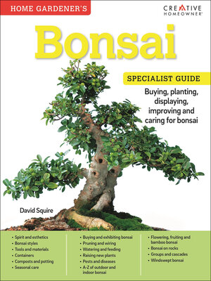 cover image of Bonsai